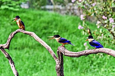 科乐美音游《超疯狂节奏城堡》解说预告片分享
